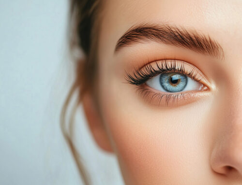 Brow and Lash Services
