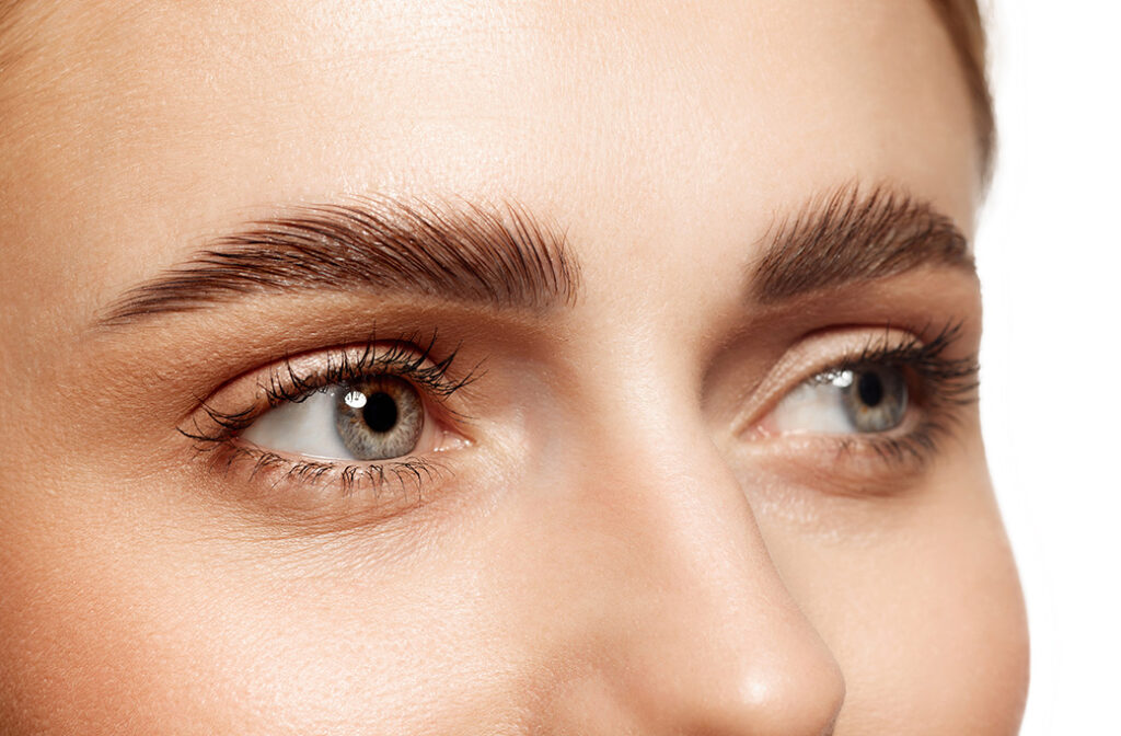 Dive Into Our Brow and Lash Services