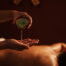 Healing Cocoon